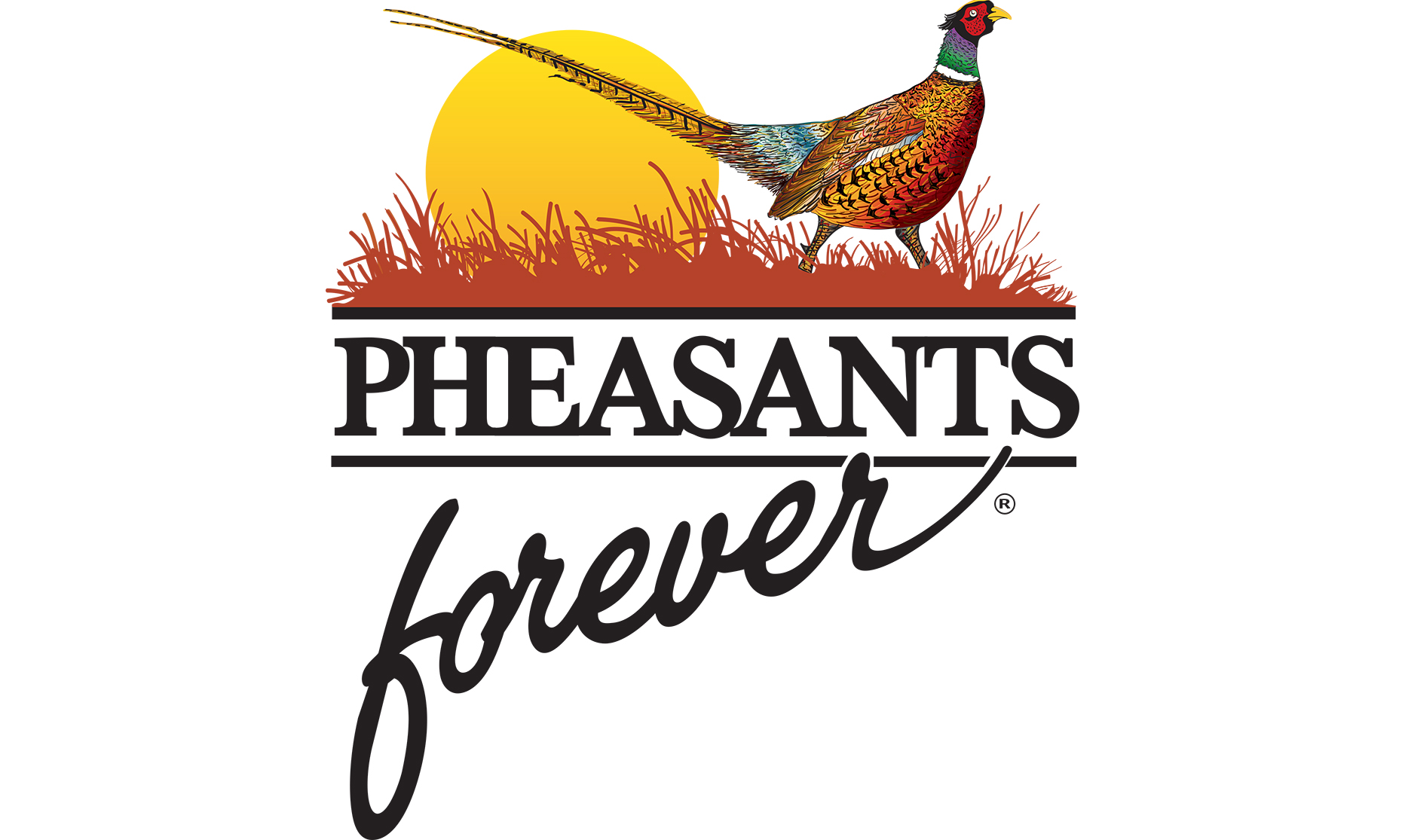 thumbnail interactive-video image 1 of Pheasants Forever Member Sticker Decal – 2.25" X 3" Multi-Color, Made In USA 1 of 5