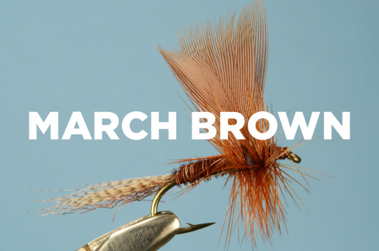 Fly Tying With Gamebird Feathers | Covey Rise Magazine