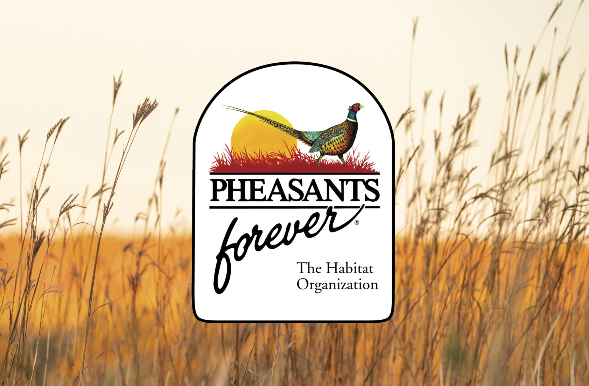 Pheasants Forever_Conservation_Logo_Graphics Covey Rise Magazine