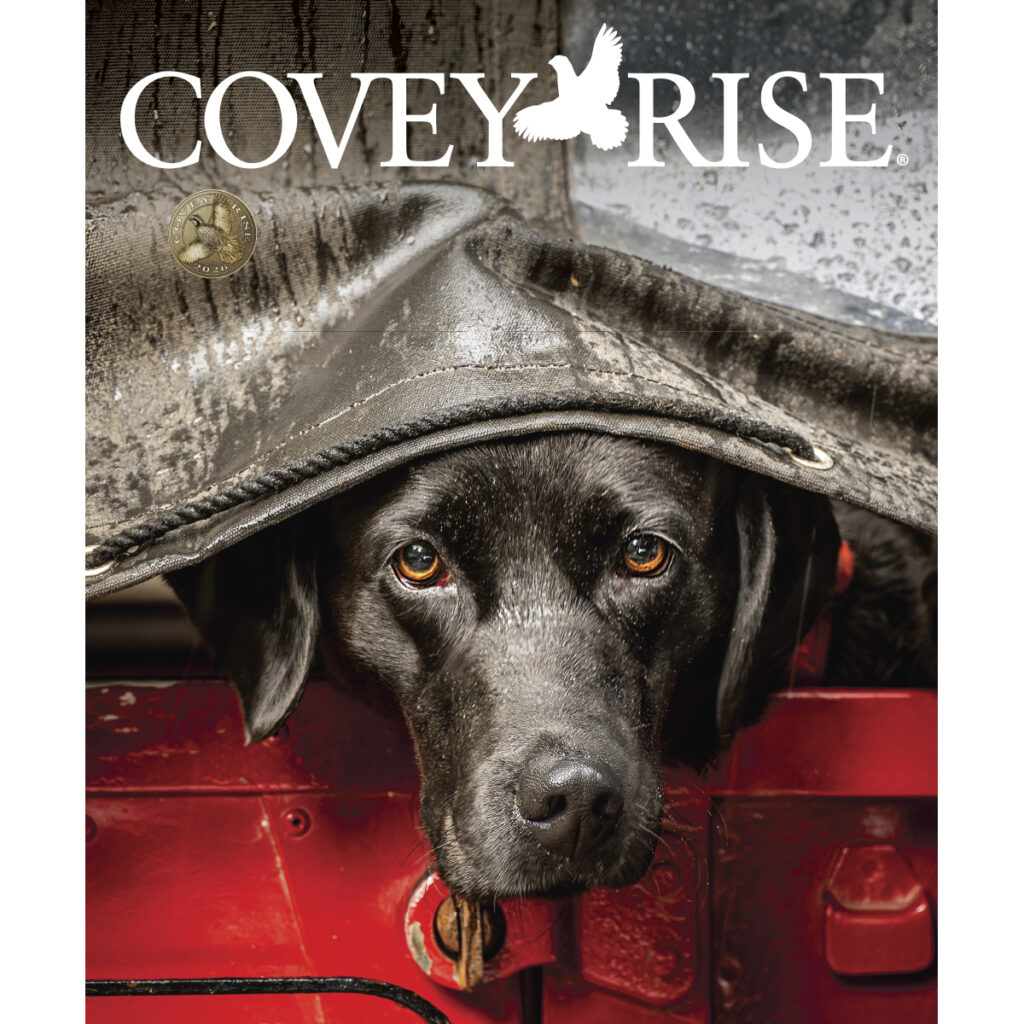 Covey Rise Magazine V14N1_Dec-Jan 2026_Shopify_1200x1200_Product Image ...